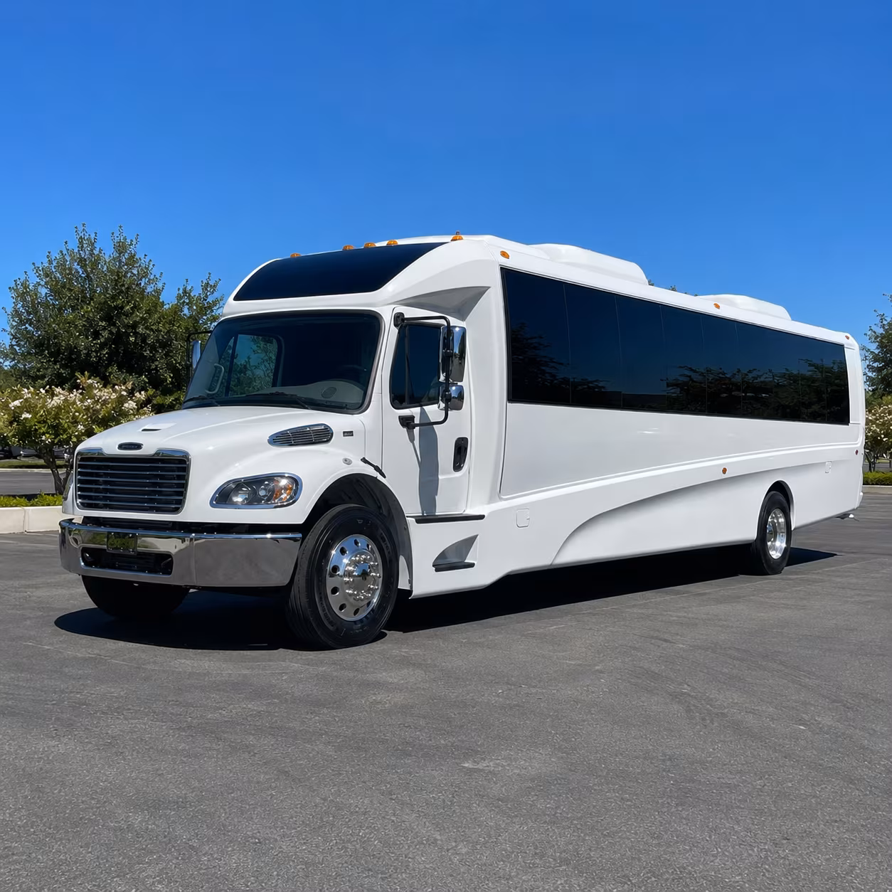 visalia 15 passenger minibus