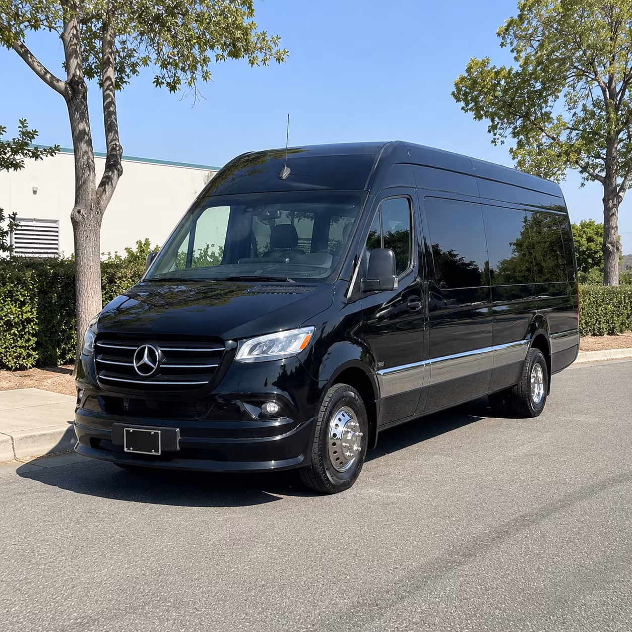 visalia sprinter van with driver